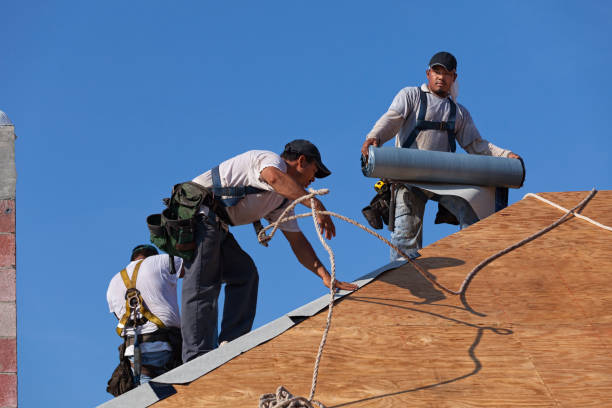Best Flat Roof Repair Services  in Carlton, OR